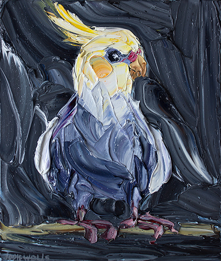 Cherished Cockatiel by Jodie Wells | Lethbridge Gallery